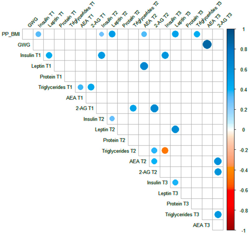 Spearman rank correlations between milk components and maternal anthropometry. Spearman correlations between milk concentration of insulin, leptin, proteins, triglycerides, and endocannabinoids (AEA and 2-AG) at postpartum days 2–8 (T1), 28–47 (T2), and 88–119 (T3) and maternal pre-pregnancy BMI (PP_BMI) and gestational weight gain (GWG). The circle only becomes visible for the correlations with a significance level of p < 0.05. The circles indicate statistical significance (p < 0.05), and their size is directly proportional to the effect size. The blue color indicates a positive correlation, and the red color indicates a negative correlation, according to the scale bar.