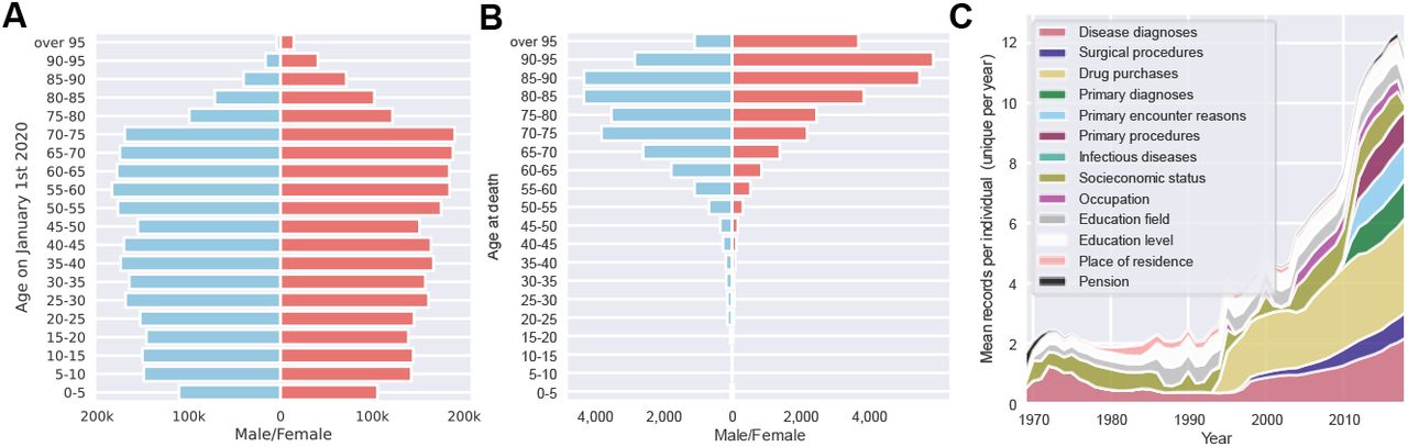 Descriptive results in the testing set.(A) A pyramid plot showing age and sex distribution for a full study population at the start of the predictive interval on January 1, 2020. (B) A pyramid plot showing age and sex distribution for individuals who did die during the predictive interval (the year 2020). (C) Distribution of the average yearly number of records per individual over time within the testing set. For each individual duplicate records within a single year were not included.