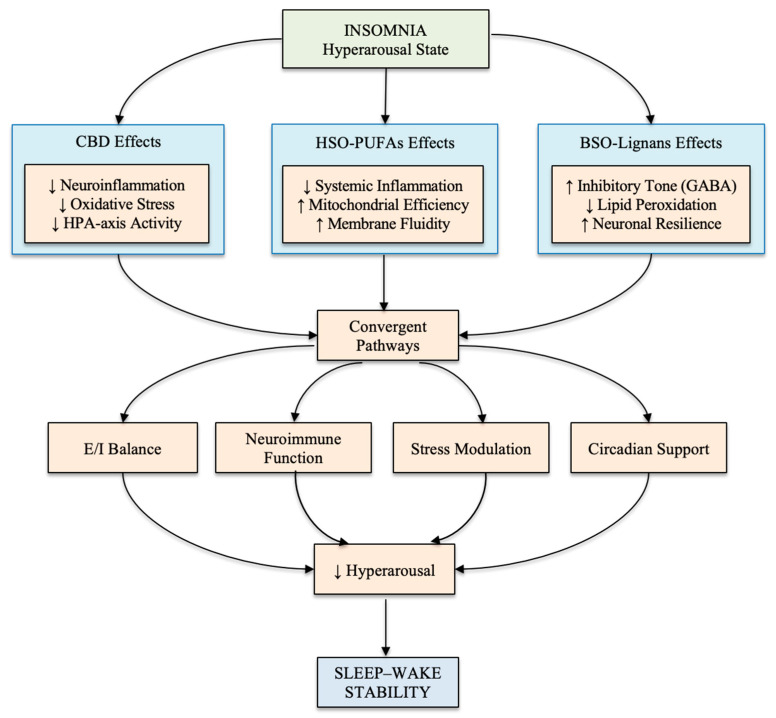 Conceptual framework illustrating convergent biological pathways through which cannabidiol (CBD), hemp seed oil-derived polyunsaturated fatty acids (PUFAs), and black sesame oil-derived lignans may influence sleep–wake regulation within a hyperarousal-based model of insomnia. These bioactive compounds interact with multiple biological domains, including neuroimmune signaling, oxidative stress regulation, stress-responsive neurocircuitry, and circadian–metabolic coordination. CBD is depicted as modulating endocannabinoid and serotonergic (5-HT1A) signaling [27,28]; PUFAs are depicted as supporting lipid-mediated inflammatory resolution and membrane homeostasis [29,30], and lignans are depicted as contributing to antioxidant and GABAergic processes [18,31].