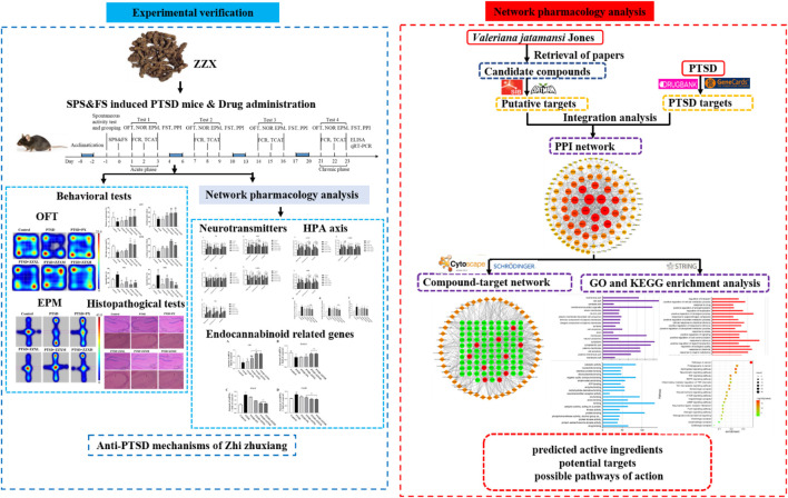Schematic diagram of the research.