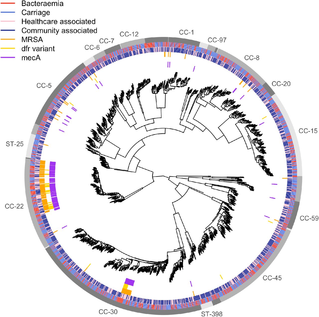 Presence of kmers that are significantly associated with carriage-vs-bacteraemia among 1610 isolates.Branch lengths have been square-root transformed to better discriminate closely related lineages. The outer ring indicates clusters with a shared lineage named by the clonal complex (or ST if only a single ST was in the cluster). The second outermost ring indicates isolate source (blue carriage, red bacteraemia). The third outermost ring indicates whether each isolate was community or hospital associated. The fourth ring indicates whether an isolate was phenotypically methicillin resistant (orange). The fifth ring marks the presence of kmers that encode a trimethoprim conferring variant in dfrB (yellow). The innermost ring indicates the presence of kmers mapping to the sequence of mecA (SAR0039).