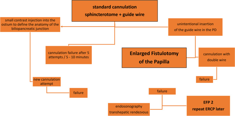 Algorithm for access to the common bile duct