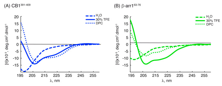 CD spectra of CB1391-409 (A) and β-arr163-76 (B) in H2O (dashed line), TFE (continuous line) and DPC (dotted line) (30 mM). Data were collected at 5 °C, pH 5.5 and 50 µM peptide concentration.