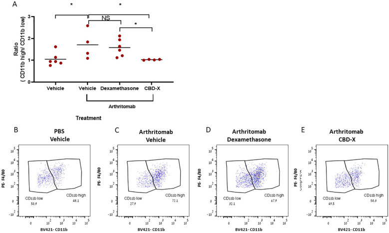 Graph A shows the ratio of CD11b high to CD11b low across different treatments with significant differences marked by asterisks. Plots B to E illustrate flow cytometry dot plots for treatments: PBS Vehicle, Arthritomab Vehicle, Arthritomab Dexamethasone, and Arthritomab CBD-X, indicating CD11b levels with noted percentages for high and low populations.