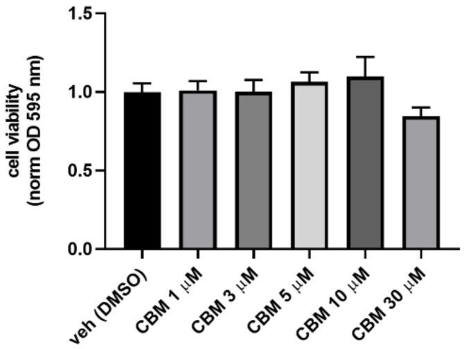 Cell viability measured in HEK293 cells treated for 24 h with crescent concentration of CBM. Bar graph shows cell viability measured using the 3-(4,5-dimethylthiazol-2-yl)-2,5-diphenyltetrazolium bromide (MTT) assay. Data are expressed as optical density (OD) at 595 nm, normalized to control (vehicle). Each point is the mean ± standard error of the mean (SEM) of four separate determinations performed in duplicate. Statistically significant differences were accepted when the p-value was at least ≤0.05.