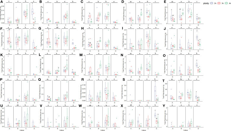 Boxplots of the total peak area per mg dry weight of 25 compounds with the highest VIP score in an OPLS-DA analysis separating cultivars of a headspace GC-MS analysis of diploid (2n), triploid (3n) and tetraploid (4n) plants of four Cannabis sativa L. cultivars. Kruskal-Wallis rank sum tests were performed for all compounds, for results of the tests see corresponding Table 2 . Different letters above bars indicate significant differences at p<0.05 with a Kruskal-Wallis within the cultivar and between cultivars and post hoc all pairs Dunn test. (A) Fenchone, (B) Linalool, (C) Germacrene B, (D) L-α-Terpineol, (E) Fenchol, (F) γ-selinene, (G) Selina-3,7(11)-diene, (H) β-Maaliene, (I) cis-2-Norbornanol, (J) 3-Eudesmen-11-ol, (K) Butanoic acid, hexyl ester, (L) Caryophyllene, (M) Bicyclogermacrene, (N) β-Selinene, (O) Guaiol, (P) 1,4,7,-Cycloundecatriene,1,5,9,9-tetramethyl-,Z,Z,Z-, (Q) Ylangene, (R) 3-Methylcamphenilol, (S) β-Bisabolene, (T) D-Limonene, (U) Selina-5,11-diene, (V) Eudesm-7(11)-en-4-ol, (W) cis-α-Bergamotene, (X) γ-Eudesmol, (Y) (-)-Guaia-6,9-diene.