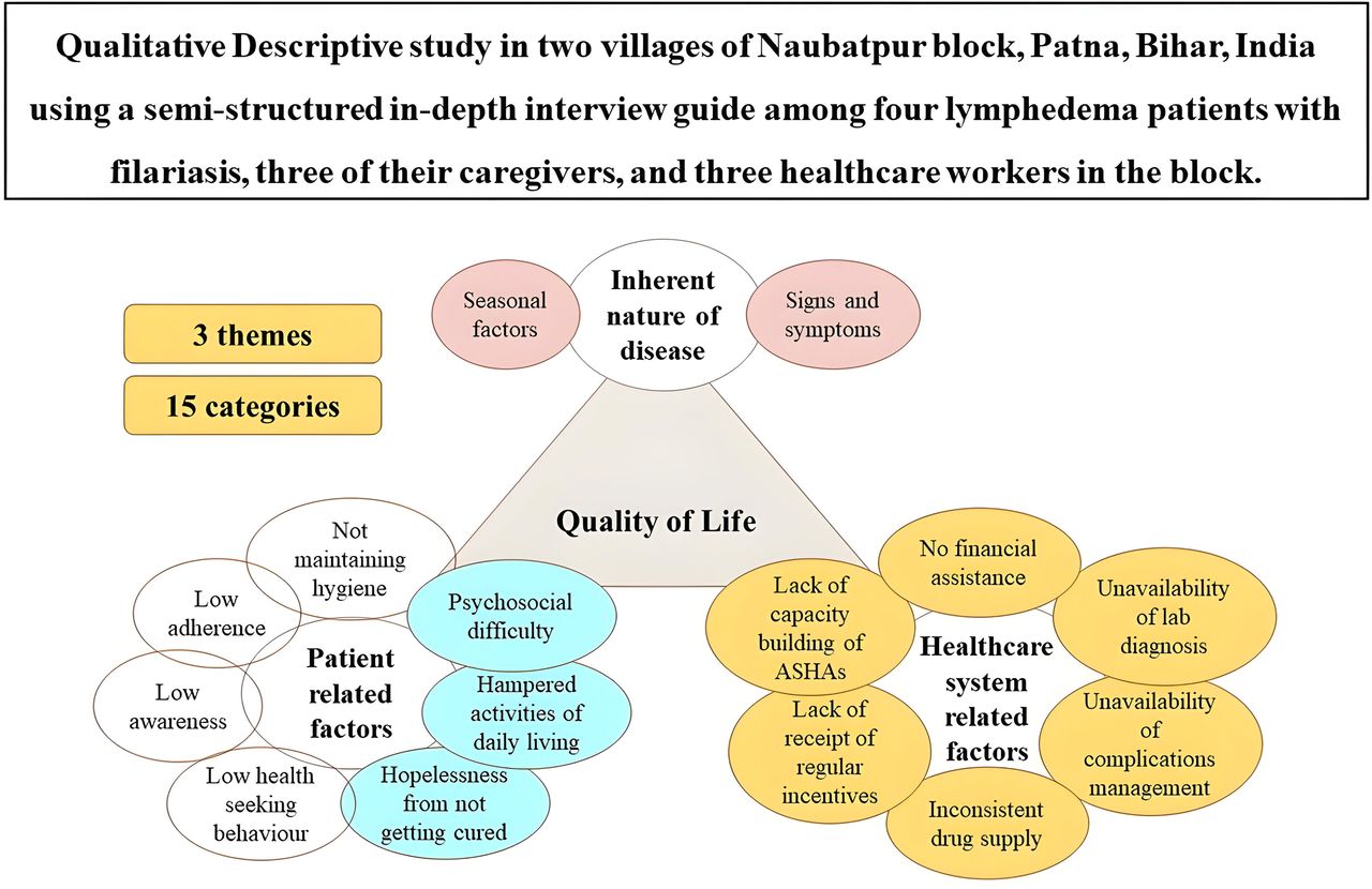 Categories and themes from the qualitative descriptive analysis