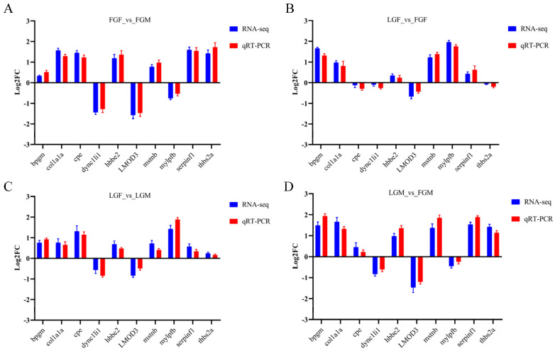 Comparison of relative expression levels measured by RNA-seq and qRT-PCR: (A) Comparison between FGF and FGM (FGF_vs_FGM); (B) Comparison between LGF and FGF (LGF_vs_FGF); (C) Comparison between LGF and LGM (LGF_vs_LGM); (D) Comparison between LGM and FGM (LGM_vs_FGM).