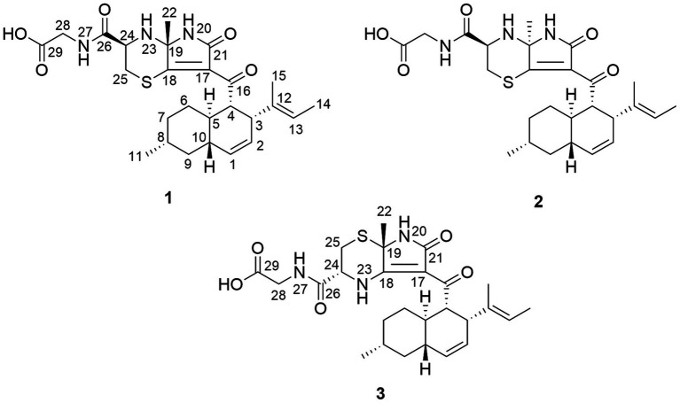 Structures of new alkaloids isolated from A. javeedii.
