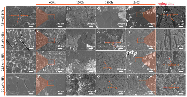 Surface microstructure evolution of HFRPs under long-term environmental aging: (a) 7.5 wt% HFs—600 h, (b) 7.5 wt% HFs—1200 h, (c) 7.5 wt% HFs—1800 h, (d) 7.5 wt% HFs—2400 h, (e) 15 wt% HFs—600 h, (f) 15 wt% HFs– 1200 h, (g) 15 wt% HFs—1800 h, (h) 15 wt% HFs—2400 h, (i) 22.5 wt% HFs—600 h, (j) 22.5 wt% HFs—1200 h, (k) 22.5 wt% HFs—1800 h, (l) 22.5 wt% HFs—2400 h, (m) 30 wt% HFs—600 h, (n) 30 wt% HFs—1200 h, (o) 30 wt% HFs—1800 h, (p) 30 wt% HFs—2400 h.