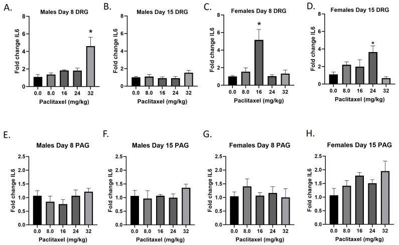Paclitaxel increases expression of IL-6 in DRG (A–D) and PAG (E–H) male and female C57Bl/6 mice. Mice are treated with vehicle or increasing doses of paclitaxel on Days 1, 3, 5, and 7 in a between-subjects design (n = 3–5/group). Mice are euthanized on Day 8 or 15 and tissues are harvested for RT-PCR analysis. One-way ANOVAs with Dunnett’s multiple comparison tests; * = p < 0.05 as compared to vehicle control.