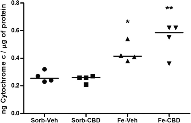Iron treatment increases Cytochrome c levels.Cytochrome c protein levels measured by ELISA assay in the hippocampus of rats treated neonatally with sorbitol or iron and treated with vehicle or CBD chronically in the adulthood (3 months of age). Statistical analysis was performed using two-way ANOVA and subsequently one-way ANOVA followed by Tukey HSD post hoc. Individual data points are plotted and mean values are presented. N = 4 rats per group. *p < 0.05 indicates a significant increase in Cytochrome c protein expression in the iron-vehicle (Fe-Veh) group compared to controls. **p ≤ 0.001 indicates a significant increase in Cytochrome c protein expression in the iron-CBD (Fe-CBD) group compared to controls