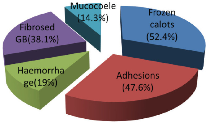 Reasons for conversion to open cholecystectomy.