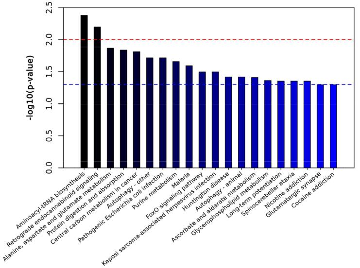 Enrichment map of the top 20 metabolic pathways. Red line, p=0.01; blue line, p<0.05. When the top of the column surpasses the blue line, the signal pathway represented by the p is significant.
