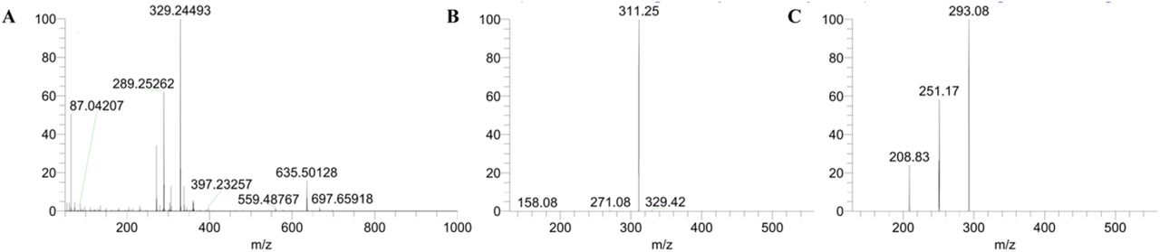 (A) High-resolution MS of Compound 1; (B) Secondary MS of Compound 1; (C) triple MS of Compound 1.