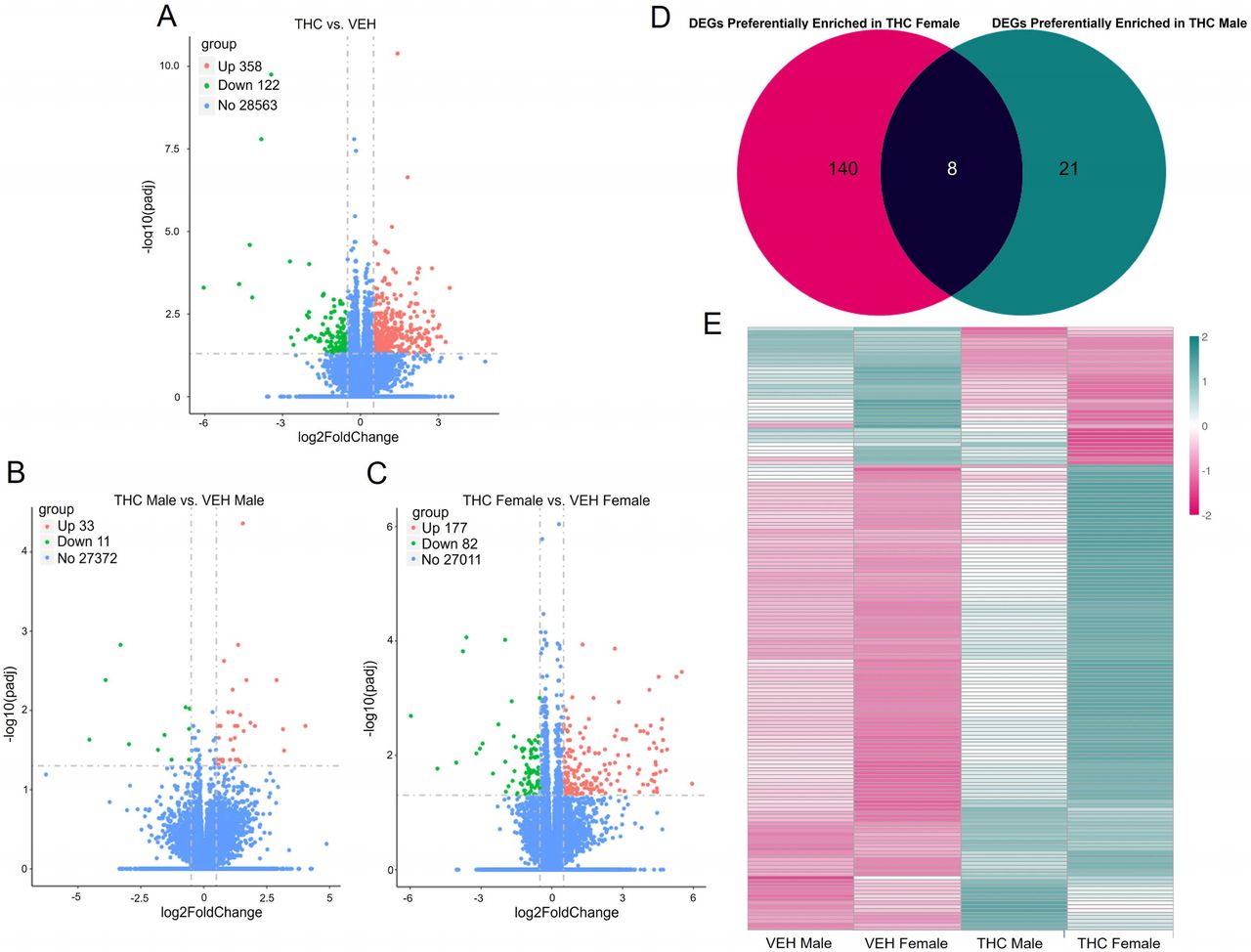 Prenatal cannabinoid exposure induces global gene expression differences in the placenta. A) There were 480 (358 up, 122 down) differentially expressed genes between the THC and VEH placentas (n= 20). When comparing between the sexes (n=10), B) THC males had a smaller range of DEGs with only 44 DEGs (33 up, 11 down) compared to VEH males whereas C) THC females had 259 DEGs (177 up, 82 down) compared to VEH female placentas. D) Comparison between the two DEG datasets indicated that there were 140 DEGs preferentially enriched in the THC females compared to THC males, VEH females, and VEH males. Alternatively, there were 21 DEGs preferentially enriched in the THC male placentas compared to THC females, VEH females, and VEH males. E) Clustering analysis was performed to visualize the differences in gene expression of the male and female preferentially enriched genes. Significance was determined if genes were below the threshold of an adjusted p-value < 0.05 and above the threshold of a log2foldchange > 0.5.