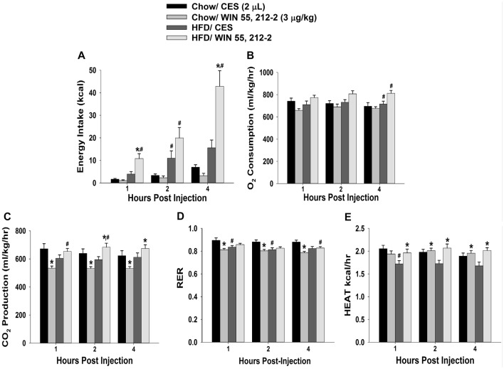 Activation of hypothalamic cannabinoid receptors increases energy intake and various measures of energy expenditure in HFD- but not chow-fed periovulatory female guinea pigs. Bars represent means and vertical lines 1 SEM of the cumulative energy intake (A), O2 consumption (B), CO2 production (C), respiratory exchange ratio (RER; D) and metabolic heat production (E), which were measured 1, 2 and 4 h after administration of WIN 55,212-2 (3 μg; I.3.V) or its CES vehicle (2 μL; I.3.V). *P < 0.05 relative to CES treated animals; multifactorial ANOVA/LSD; n = 5. #P < 0.05 relative to chow-fed animals; repeated measures, multifactorial ANOVA/LSD; n = 5.