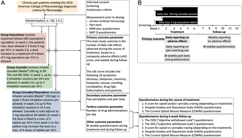 A Study procedures flow diagram. B Timing of dosing and measurements of endpoints