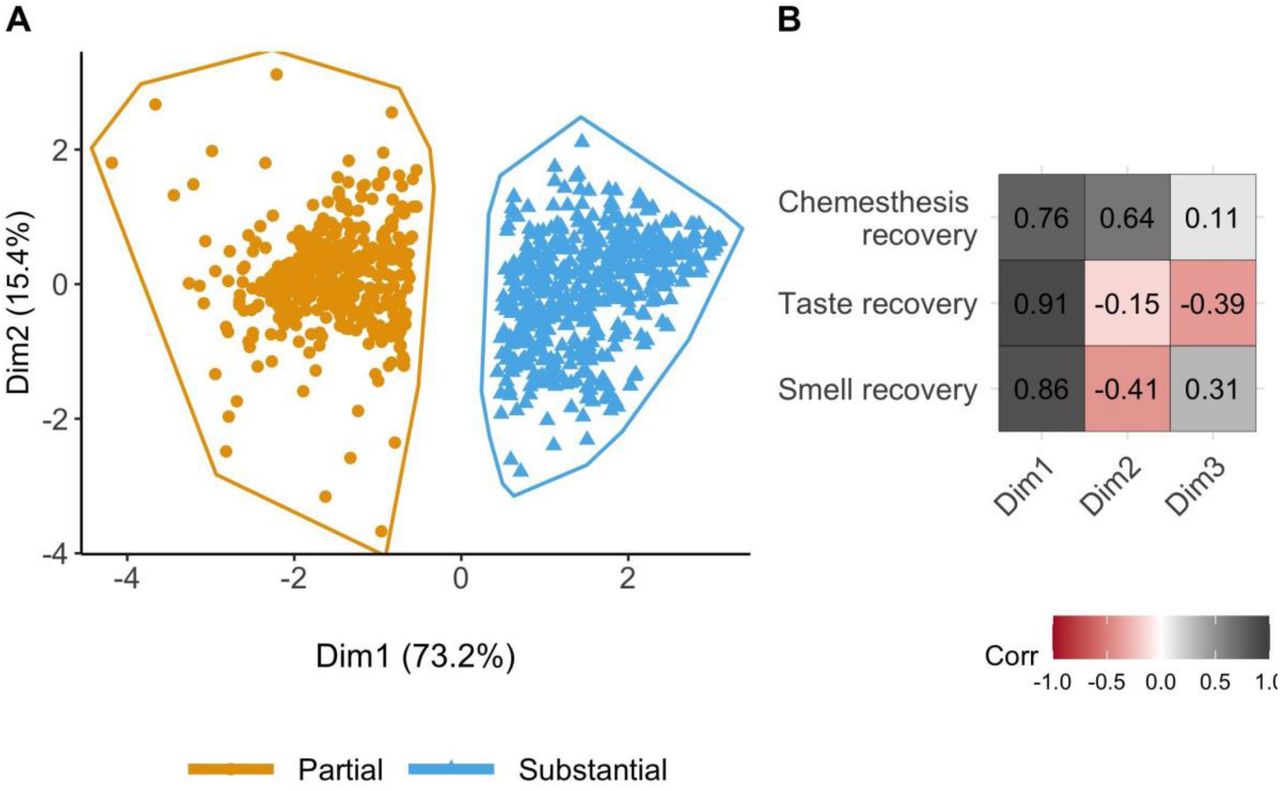 A) Clusters of participants on chemosensory recovery identified by k-means clustering. The scatterplot shows each participant’s loading on Dimension 1 (Dim1) and Dimension 2 (Dim2) of the Principal Component Analysis. Partial = smell, taste, and chemesthesis partial recovery; Substantial = smell, taste, and chemesthesis substantial recovery B) Correlations between the three principal components with respect to recovery in smell, taste, and chemesthesis. Gray color indicates a positive correlation, whereas shades of red indicate negative correlations. Darker shades indicate stronger correlations.