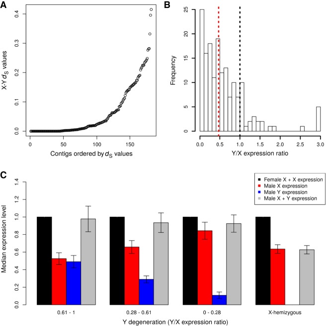 Patterns of molecular evolution of C. sativa sex chromosomes. (A) X-Y dS values for the XY gene pairs. (B) Y/X expression ratio for the XY gene pairs; the black dotted line shows the expected value for no Y degeneration, the red dotted line shows the median observed here (median = 0.47). Both are significantly different (Wilcoxon paired test P-value < 10−16). (C) Dosage compensation in C. sativa. The expression levels of the X and Y alleles in males and females are shown for gene categories (from left to right, categories 0.61-1 and 0.28-0.61: N = 44, category 0-0.28: N = 43, X-hemizygous: N = 184) with different levels of Y degeneration (measured by the Y/X expression ratio). Sex-biased genes (with strong and significant differences in male and female expression) have been removed, as they are not expected to exhibit dosage compensation (see Muyle et al. 2012, 2018). Only sex-linked genes mapping to Chromosome 1 have been included here. Supplemental Figure S1 shows the same analyses with all sex-linked genes.