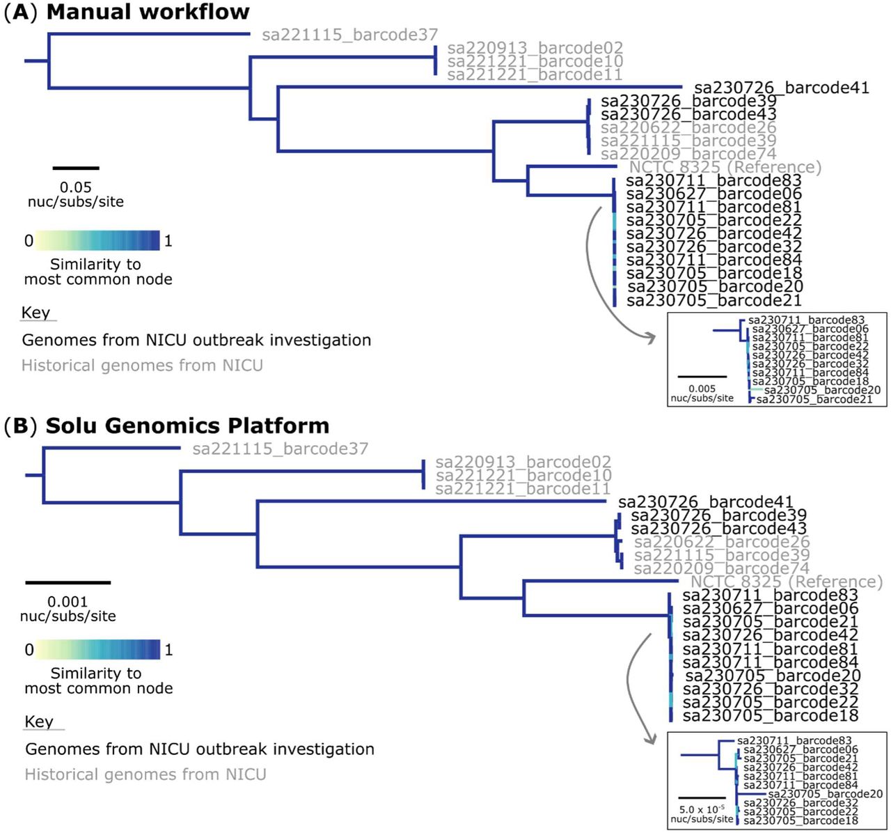 Comparison of sequencing analysis workflows for the Staphylococcus aureus outbreak. (A) Maximum likelihood generated from the manual bioinformatic analyses. The phylogeny was inferred from 51,942 core-genome single-nucleotide variants (SNVs) from 21 assembled genomes. SNVs were derived from a core-genome alignment of 1,632,539 bp. In both phylogenetic trees, SNVs were called against the 2,821,361 bp chromosome of strain NCTC 8325 (GenBank: CP000253). (B) Maximum likelihood generated from the Solu Genomics cloud-based platform. The phylogeny was inferred from 48,855 core-genome SNVs from 21 assembled genomes. The multiple sequence alignment was 2,821,361 bp in length. The trees are rooted to the actual root by S. aureus sequence type (ST)93 (sample: sa221115_barcode37; SRA: SRR31828390). The colour of the branches represents the comparison metric. A score of 1 denotes that the subtree structure of the node is identical to the subtree structure of its best corresponding node.