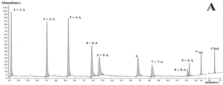 Typical GC-MS chromatograms using column temperature programme A. (A) (TIC-chromatogram A)—the chromatogram for nine CBDs-N, eight CBDs-A, GCIS (internal standard; 5-α-cholestane) and Chol. (B) (TIC-chromatogram B)—the chromatogram for the processed hemp biomass sample. Peaks: 1—CBDV and CBDV from decarboxylation of CBDV-A (1-A); 2—THCV and THCV from decarboxylation of THCV-A (2-A); 3—CBL and CBL from decarboxylation of CBL-A (3-A); 4—CBD and CBD from decarboxylation of CBD-A (4-A); 5—CBC and CBC from decarboxylation of CBC-A (5-A); 6—∆8-THC; 7—∆9-THC and ∆9-THC from decarboxylation of ∆9-THC-A (7-A); 8—CBG and CBG from decarboxylation of CBG-A (8-A); 9—CBN and CBN from decarboxylation of CBN-A (9-A). (B)—Chol concentration in the hemp biomass sample was below the limit of detection (LOD). Blue lines under peaks—baselines under integrated peaks; □−−□—an integration range of peaks.