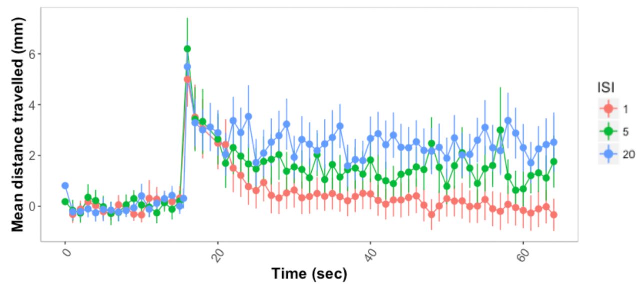 Response and habituation to startle stimuli test with different interstimulus intervals (ISI) in wild type zebrafish larvae. The first stimulus is given at second 15.