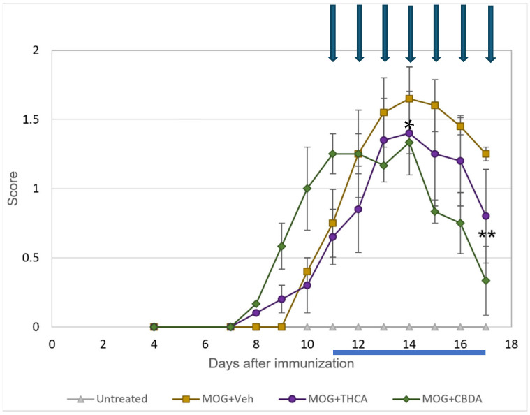 CBDA treatment ameliorates clinical symptoms in MOG-induced EAE mice. Four groups of mice were used: (a) MOG-immunized mice (orange); (b) MOG-immunized mice treated with THCA (violet); (c) MOG-immunized mice treated with CBDA (green) and (d) untreated, non-immunized mice (gray). CBDA and THCA were administered intraperitoneally at 10 mg/kg once daily for seven days, starting on day 11 post-immunization (blue arrow). Results are presented as mean ± SEM (n = 4–6). * p < 0.05 vs. MOG, ** p < 0.01 vs. MOG. Statistical significance was determined using Two-way Repeated-Measures ANOVA followed by Bonferroni post hoc test.