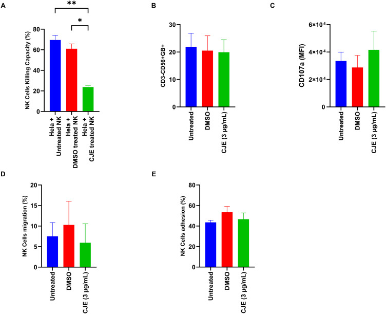 CJE impairs NK cell cytotoxicity without affecting migration or adhesion.PBMCs were either untreated or exposed to 3 µg/mL of CJE, and then NK cells were isolated using the EasySep Human NK Cell Isolation Kit. The isolated NK cells were evaluated for: (A) cytotoxic activity against HeLa cells, (B) Granzyme B expression by flow cytometry using anti-Granzyme B staining, (C) migratory response to an SDF-1 gradient, and (D) adhesion capacity on a fibronectin-coated surface. Data are presented as mean ± SEM. *p < 0.05; **p < 0.01; n = 4 independent experiments. DMSO: dimethyl sulfoxide.