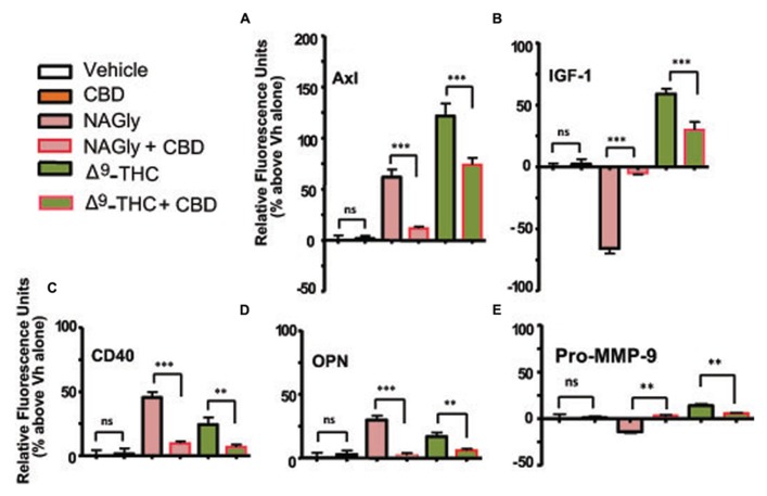Levels of cytokine production after 3 h treatment co-incubation with CBD in BV-2 microglia. (A) Axl, (B) IGF-1, (C) CD40, (D) OPN, (E) Pro-MMP-9. Cytokine production by BV-2 microglia in response to NAGly (10 nM) and Δ9-THC (100 nM) ± CBD (100 nM) n = 4–5. **p < 0.01, ***p < 0.001 (One-way ANOVA).