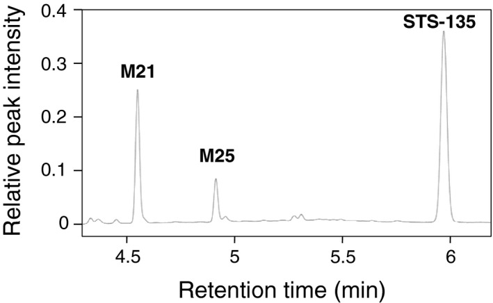 Representative chromatogram of STS‐135 and its main metabolites. STS‐135 was incubated with HLM and the reaction mixture was separated by UPLC. Retention times of STS‐135 and its primary metabolites, M21 and M25 were 4.54 (M21), 4.90 minutes (M25), and 5.94 minutes (STS‐135)