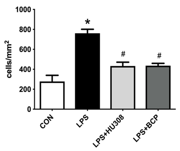Leukocyte adhesion in submucosal bladder venules of female CD-1 mice for the following experimental groups: control (CON; n = 9), lipopolysaccharide (LPS)-induced interstitial cystitis (IC) (LPS; n = 9), LPS-induced IC treated with HU308 (5 mg/kg, LPS + HU308; n = 4), LPS-induced IC treated with beta-caryophyllene (BCP) (100 mg/kg, LPS + BCP; n = 7). LPS, BCP, and HU308 were all administered via i.p. injection. Data presented as mean ± SD. * p < 0.05 vs. CON. # p < 0.05 vs. LPS.