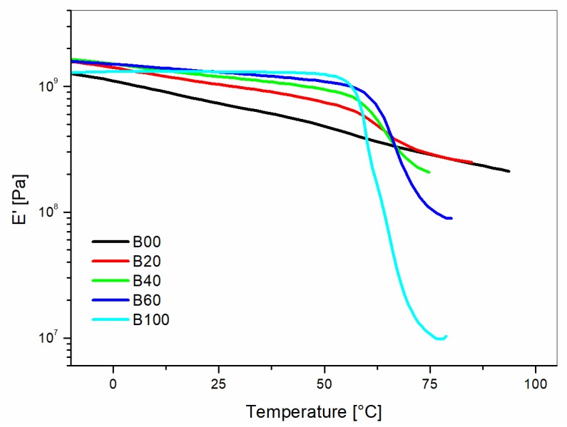 Storage modulus (E’) versus temperature curves for unreinforced blends of PP/Liquid Wood as a function of the Liquid Wood (LV) content.
