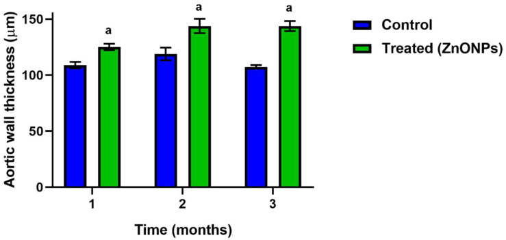 Effect of ZnONPs on the aortic wall thickness. Blue bars correspond to the control non-treated group; green bars correspond to the ZnONPs treated-groups at different times. a, there is a significant difference compared to the control group with p < 0.05.