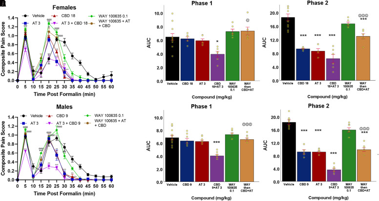 Drug-dependent antinociceptive effects of CBD and AT, with and without 5-HT1A antagonism, in the formalin test in wild-type mice. ED50 doses were calculated from Phase 2 and were 17.78 mg/kg for CBD in female mice, 9.05 mg/kg for CBD in male mice, 3.30 mg/kg for AT in female mice, and 2.82 mg/kg for AT in male mice. ED59 doses of CBD and AT, alone and in combination, suppressed pain behavior in both female (A) and male (B) wild-type mice. This suppression was partially reversed by 5-HT1A antagonism by WAY-100635 in both female (A) and male (B) wild-type mice. In both female (C) and male (E) mice, the combination CBD ED50 + AT ED50 dose suppressed AUC of pain behavior in Phase 1 while individual CBD ED50 and AT ED50 doses failed to do so and this suppression was fully reversed by 5-HT1A antagonism. In female (D) mice, the combination CBD ED50 + AT ED50 dose suppressed pain behavior in Phase 2 at a level not significantly different from the individual CBD ED50 and AT ED50 doses and this suppression was partially reversed by 5-HT1A antagonism. In male (F) mice, the combination CBD ED50 + AT ED50 dose suppressed pain behavior in Phase 2 to a significantly greater degree than the antinociception produced by the individual CBD ED50 and AT ED50 doses and this effect was partially reversed by 5-HT1A antagonism. Data are expressed as mean ± SEM. (vehicle: n = 12 females and n = 12 males; CBD 17.78 mg/kg, AT 3.30 mg/kg, CBD 17.78 mg/kg + AT 3.30 mg/kg, WAY-100635 0.1 mg/kg, WAY-100635 0.1 mg/kg followed by CBD 17.78 mg/kg + AT 3.30 mg/kg: n = 6 females; CBD 9.05 mg/kg, AT 2.82 mg/kg, CBD 9.05 mg/kg + AT 2.82 mg/kg, WAY-100635 0.1 mg/kg, WAY-100635 0.1 mg/kg followed by CBD 9.05 mg/kg + AT 2.82 mg/kg: n = 6 males). (A) Time post formalin (min) versus CPS in female wild-type mice. (B) Time post formalin (min) versus CPS in male wild-type mice. (C) Compound versus AUC during Phase 1 in female wild-type mice. (D) Compound versus AUC during Phase 2 in female wild-type mice. (E) Compound versus AUC during Phase 1 in male wild-type mice. (F) Compound versus AUC during Phase 2 in male wild-type mice. Repeated measure one-way ANOVA with Bonferroni post-hoc used to calculate significance for (A) and (B). One-way ANOVA with Bonferroni post-hoc used to calculate significance for (C), (D), (E), and (F). Relative to vehicle: *P < 0.05, **P < 0.01, ***P < 0.001. Relative to combination CBD ED50 + AT ED50: @P < 0.05, @@P < 0.01, @@@P < 0.001.
