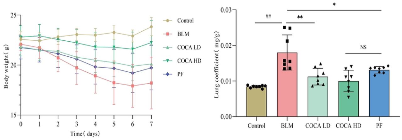Weight change curve(left) and Lung Coefficient(right) of mice in each group (NSP > 0.05, *P < 0.05, **P < 0.01)