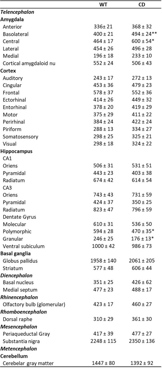 [3H]CP55,940 binding of all analysed brain regions (WT, n=12; CD, n=10) in fmol/mg t.e. of CB1R. Statistical significance was calculated by Student’s t-test. * p<0.05; ** p<0.01; (genotype effect). Data are expressed as mean ± S.E.M.