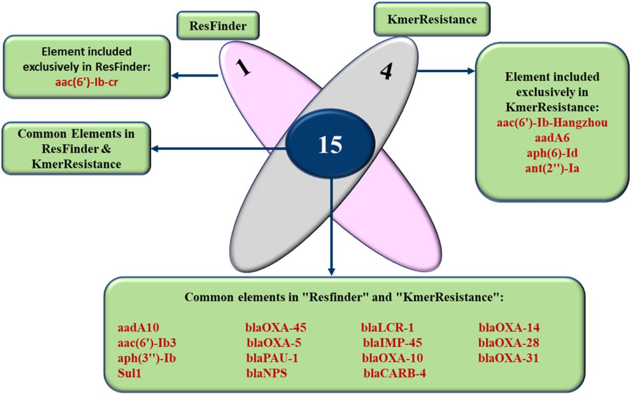Venn diagram comparing the genes results of ResFinder 4.1 and KmerResistance 2.2