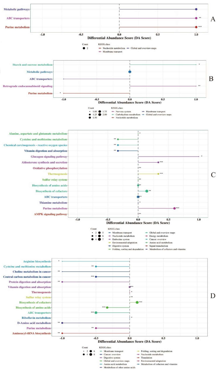 Differential abundance score of metabolic pathways of metabolites identified in milk using conventional metabolomics approach. (A): KEGG pathways enrichment of differential metabolites in colostrum between experimental group and control group. (B): KEGG pathways enrichment of differential metabolites in mature milk between experimental group and control group. (C): KEGG pathways enrichment of differential metabolites between colostrum and mature milk of experimental group. (D): KEGG pathways enrichment of differential metabolites between colostrum and mature milk of control group. * 0.01 < p < 0.05, ** 0.001 < p <0.01, *** p < 0.001.