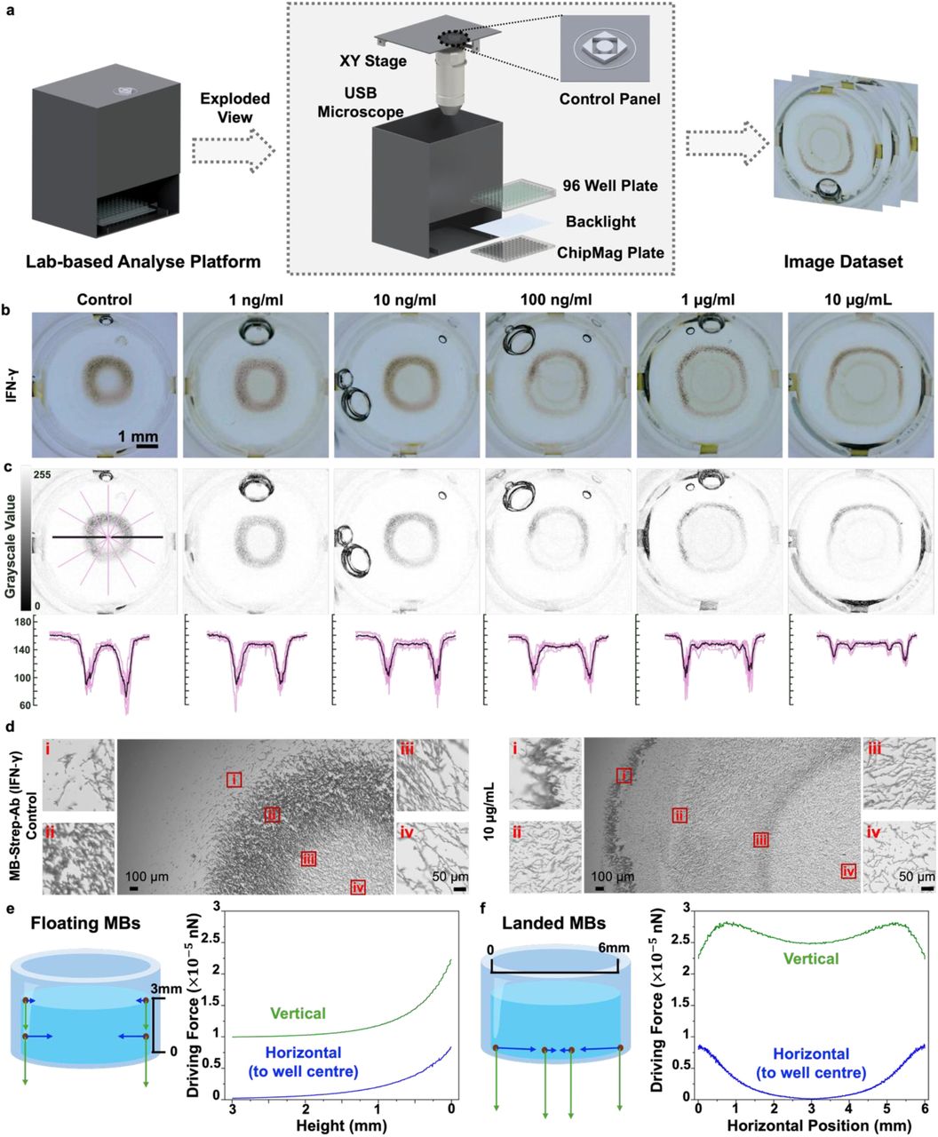 Data collection and mechanism analysis of MBs-formed pattern.a, Illustration of the imaging platform for data collection with a detailed exploded view. b, MB patterns at varying analyte (IFN‐γ) concentrations. c, Grayscale transformations by ImageJ and radial grayscale intensity plots. d, Detailed high-magnification images for the MB pattern. e, COMSOL Multiphysics simulation for floating MBs. f, COMSOL Multiphysics simulation for landed MBs.