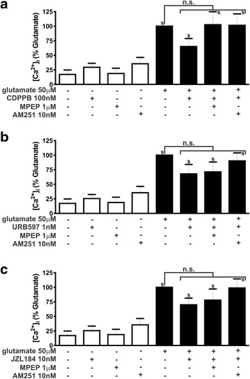 CDPPB, URB597 and JZL184 treatment do not modify intracellular Ca2+ concentration. Graphs show intracellular Ca2+ concentration ([Ca2+]i) levels in primary cultured corticostriatal neurons that were either untreated (−) or treated (+) with 50 μM glutamate, 1 μM MPEP, 10 nM AM251, 100 nM CDPPB (a), 1 nM URB597 (b) and 10 nM JZL184 (c) for 5 min. Data represent the means ± SEM of seven independent experiments. n.s. indicates not significant and # indicates significant difference as compared to untreated neurons (p <0.05)