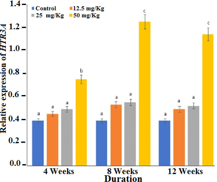 Expressions of Serotonin receptor 3A gene (HTR3A) in the brain
