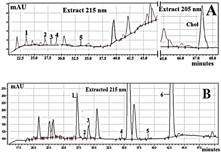 Fragments of the C18-HPLC-DAD chromatogram of the processed biological samples (~500 mg). (A): chromatogram A—egg yolk of hens fed a diet enriched with hemp seeds. Peak 1—CBDV; peak 2—CBD-A; peak 3—CBG-A; peak 4—CBD; peak 5—THCV-A. (B): chromatogram B—hemp seeds. Peak 1—CBD-A; peak 2—CBG-A; peak 3—CBD; peak 4—CBN; peak 5—∆9-THC; peak 6—CBC; Chol concentration in processed hemp seeds was below LOD. ↓ and ↑—integration ranges of peaks.