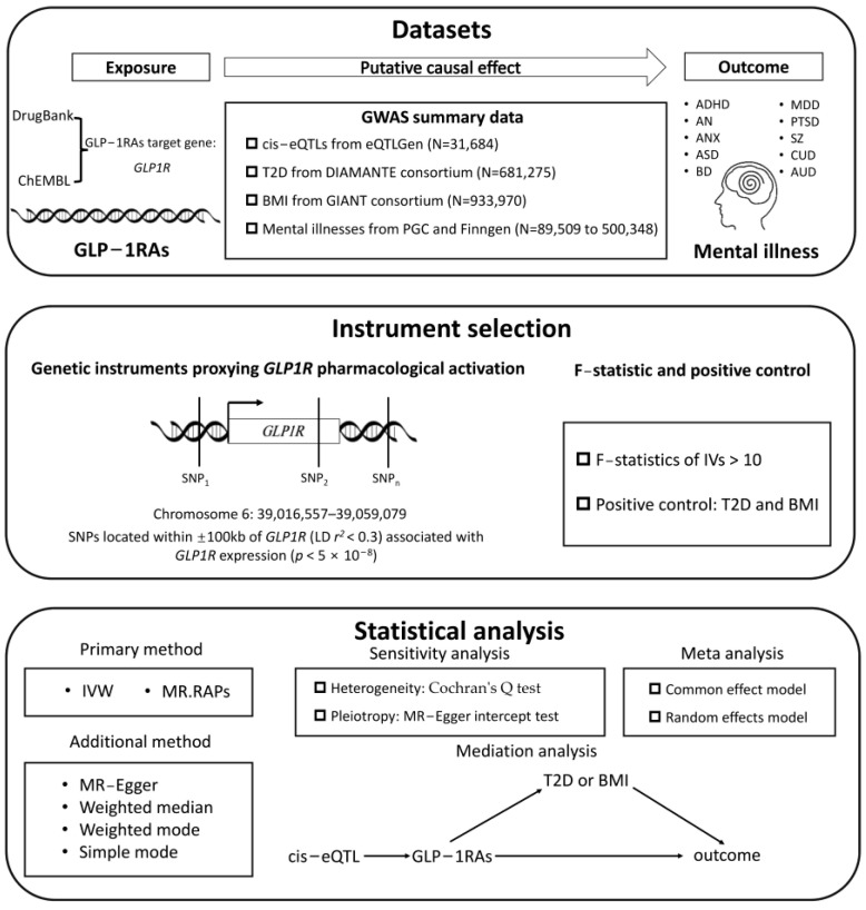 The overall study design flowchart.