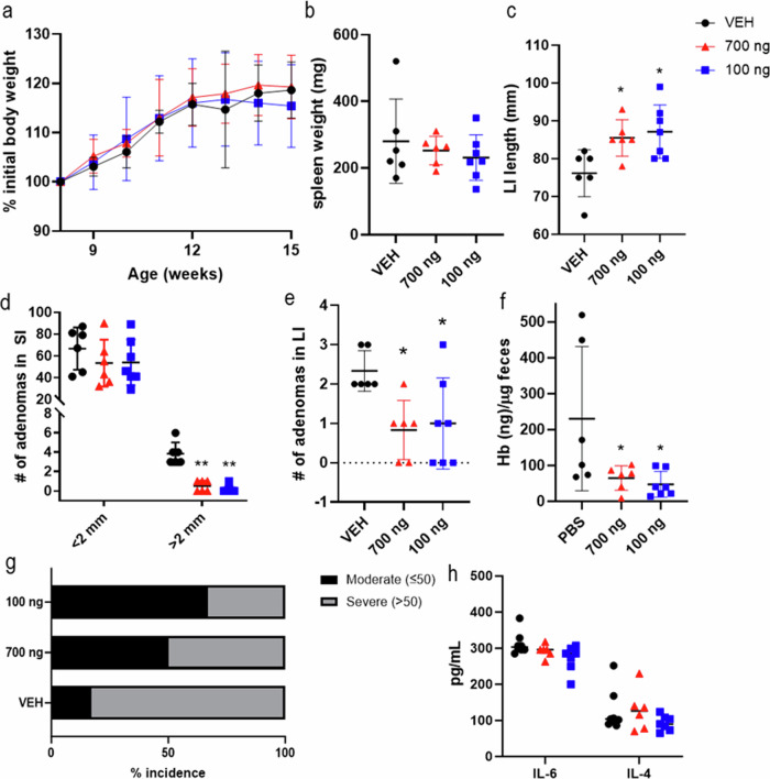OGP attenuates adenoma formation and growth during the progression phase in ApcMin/+ mice.a Body weight expressed as percent (%) initial body weight on the day of the first injection, two-way ANOVA, p = 0.8389. b spleen weight. c length of the large intestine. d count and size distribution of adenomas in SI. e Gross adenomas in the LI (each measuring 2–4 mm). f Quantitative analysis of fecal occult blood 1 week before sacrifice. g percent incidence of moderate and severe cases based on adenoma count, Fisher’s exact test, p = 0.3818 (h) IL-6 and IL-4 serum levels determined by ELISA. Vehicle control (VEH), n = 6; OGP 700 ng/week, n = 6, OGP 100 ng/day, n = 7. One-way ANOVA or Kruskal-Wallis test vs VEH, *p < 0.05 and **p < 0.01.