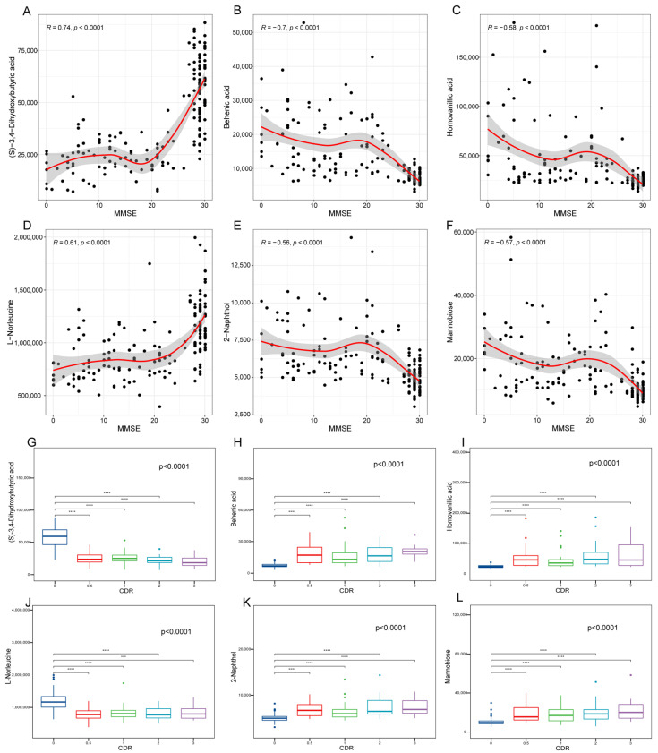 Correlation analysis of the potential biomarker metabolites with cognitive function and disease severity. (A–F) Correlation between potential biomarkers and MMSE score. Correlation coefficients were based on Spearman’s correlation analysis. (G–L) Distribution of the levels of metabolite at different clinical stages of AD. Overall differences between groups were tested with the K–W test. Asterisks indicate significant vs. CDR 0 groups; *** p < 0.001; **** p < 0.0001. MMSE, mini-mental state examination. CDR, Clinical Dementia Rating.