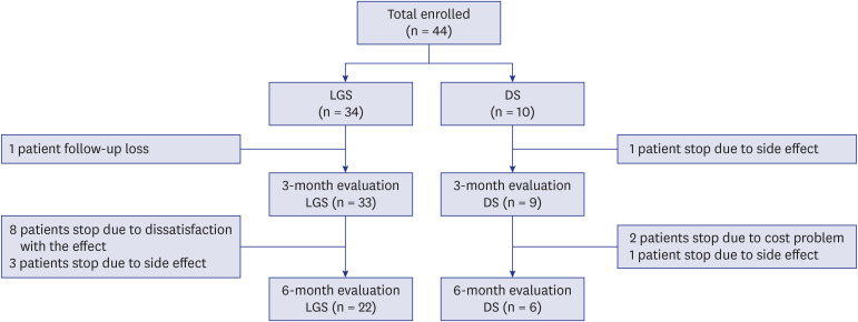 Study participants' flow chart.LGS = Lennox-Gastaut syndrome, DS = Dravet syndrome.