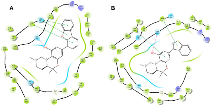Two-dimensional interaction diagrams, with the green representing hydrophobic interactions, and the blue representing hydrophilic interactions. (A) Compound 166 against the CB1 receptor; (B) compound 166 against the CB2 receptor [103].