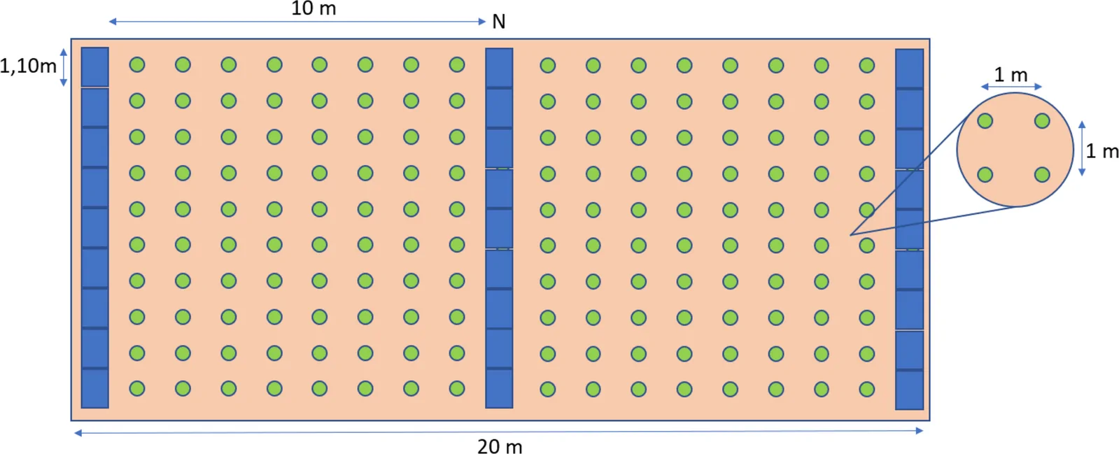 Layout of the proposed monofacial agrivoltaic system integrated with Arundo donax L. The figure shows the spatial arrangement of the monofacial photovoltaic rows and the cultivated area within the simulated 1-hectare layout, including the adopted row spacing and panel orientation