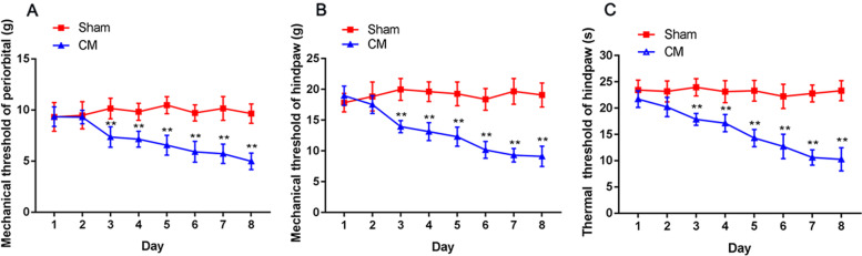 The influence of repeated dural IS stimulation on hyperalgesia in CM rats. A and B Compared with the Sham group treated with PBS infusion, the mechanical pain thresholds of the periorbital region and hindpaw in the CM group treated with IS infusion markedly reduced after the second day. (n = 10/group, **p < 0.01, vs Sham). C The thermal pain thresholds of the hindpaw in the CM group were visibly lower than those in the Sham group after the second day. (n = 10/group, **p < 0.01, vs Sham)